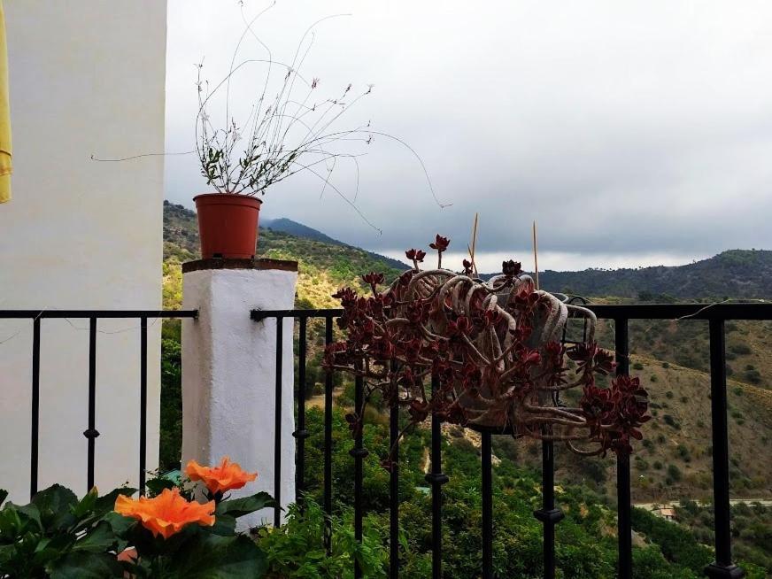Posada Puente Romano Sedella エクステリア 写真