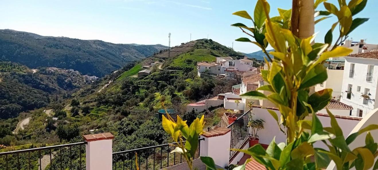 Posada Puente Romano Sedella エクステリア 写真