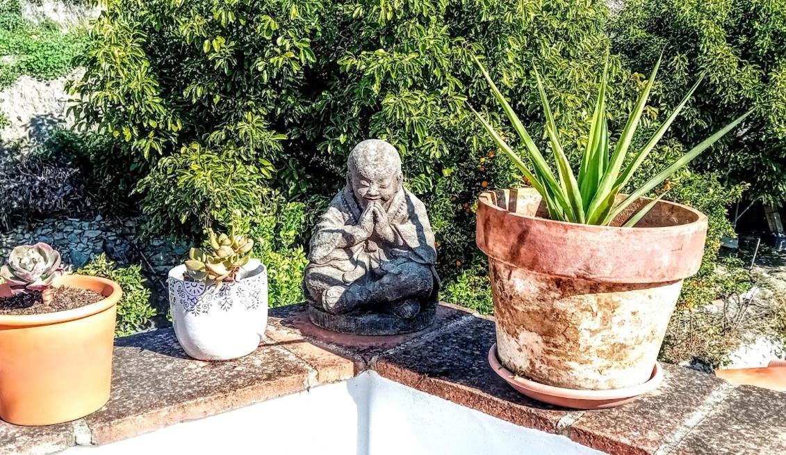 Posada Puente Romano Sedella エクステリア 写真