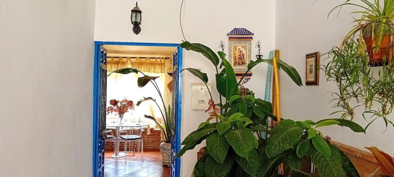 Posada Puente Romano Sedella エクステリア 写真