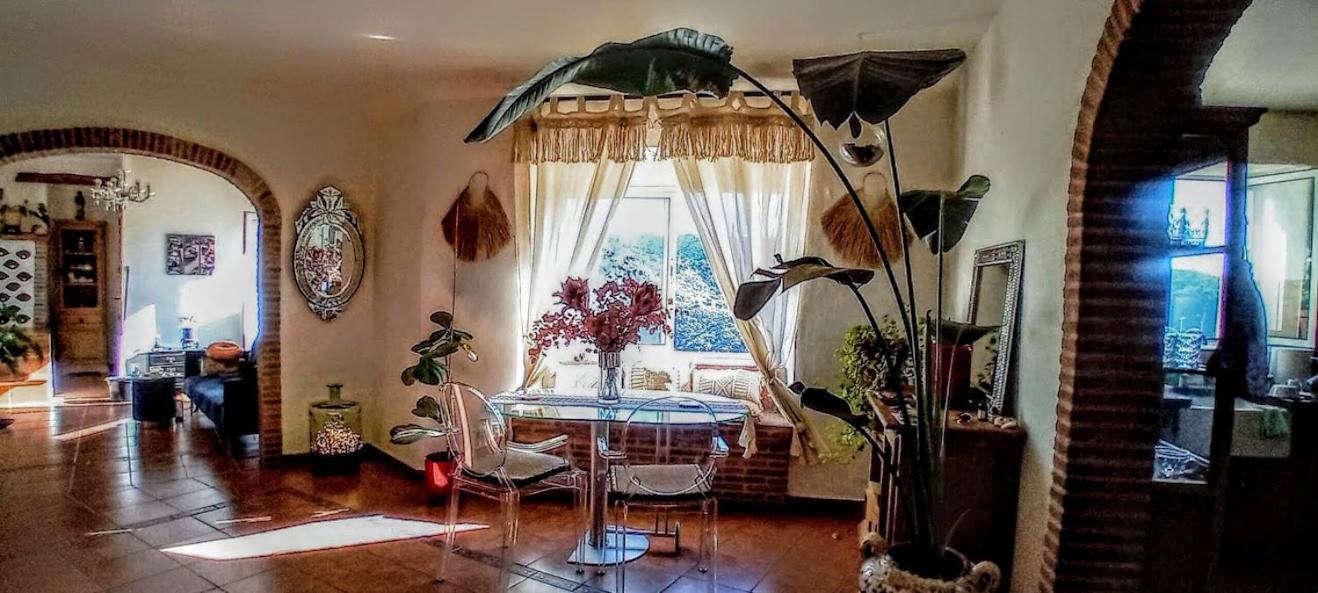 Posada Puente Romano Sedella エクステリア 写真